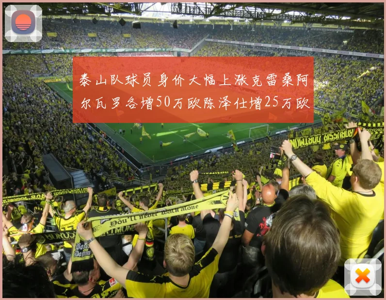 泰山队球员身价大幅上涨克雷桑阿尔瓦罗各增50万欧陈泽仕增25万欧